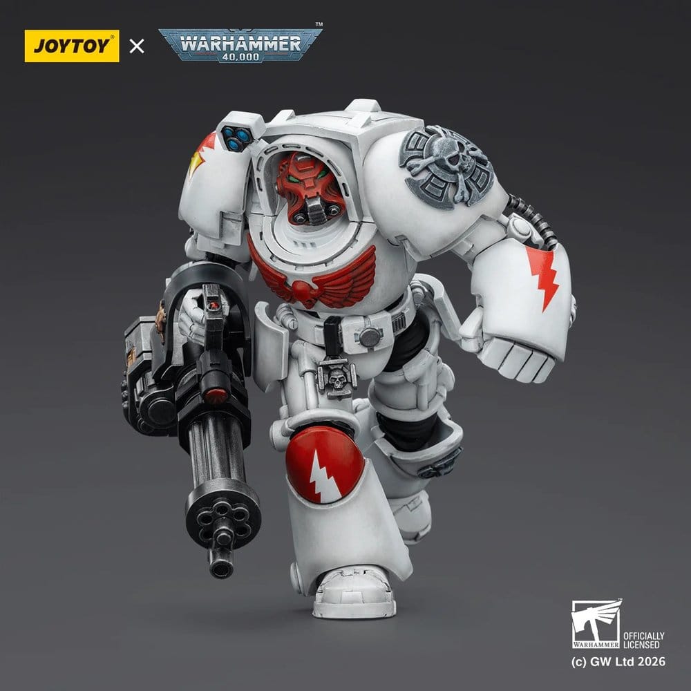 49016307