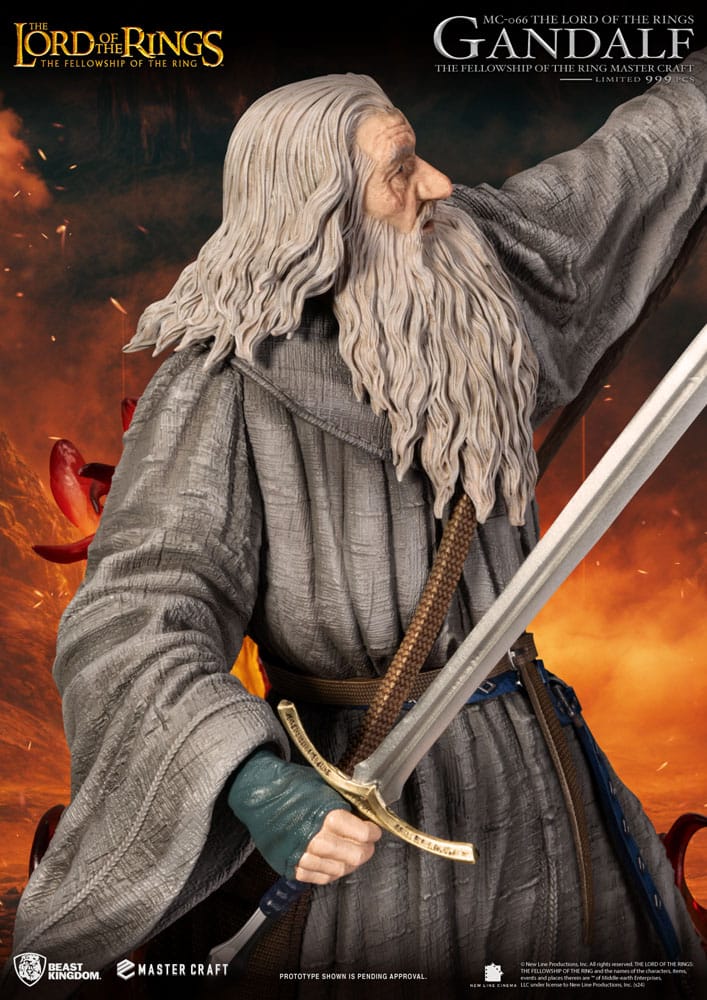 49010461