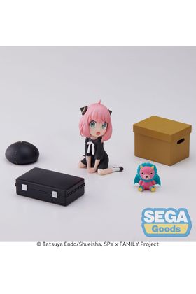 49632809