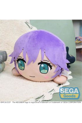 49629620