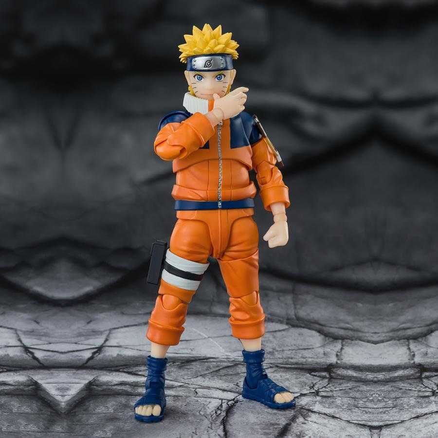 49965954