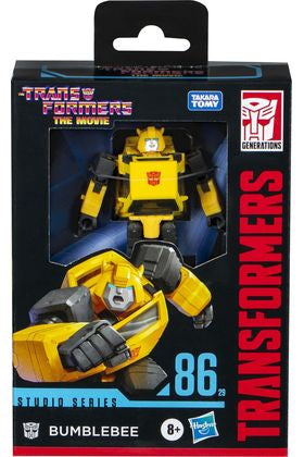 50204737