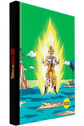 50202579