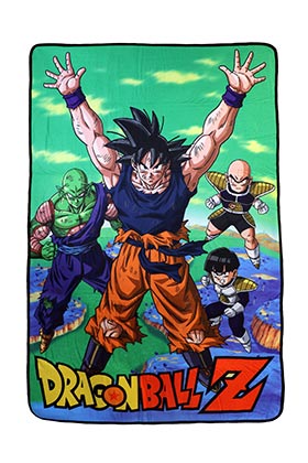 50202587