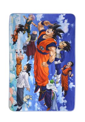50202624