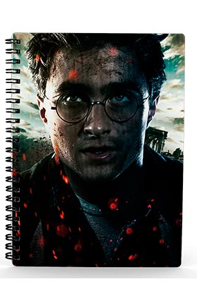 50200237