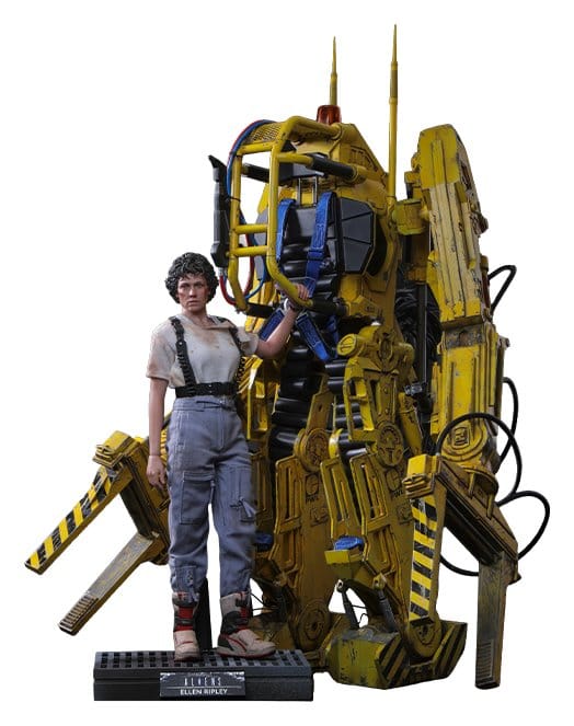 50264449
