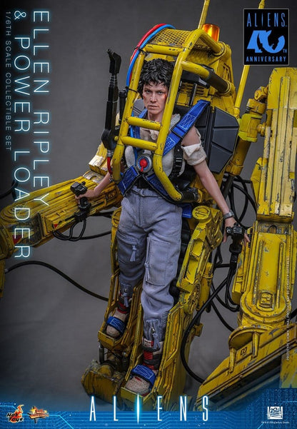 50264448