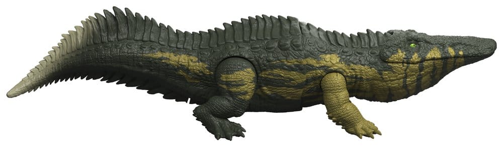50389356