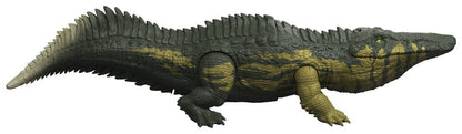 50389356