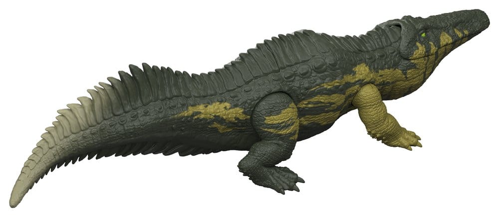50389357