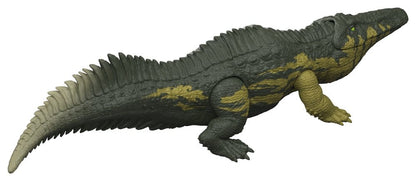 50389357