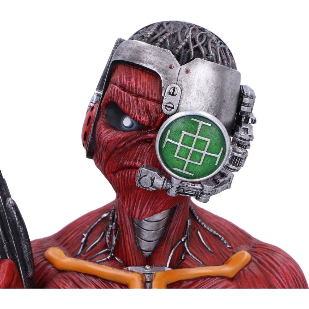 50391319