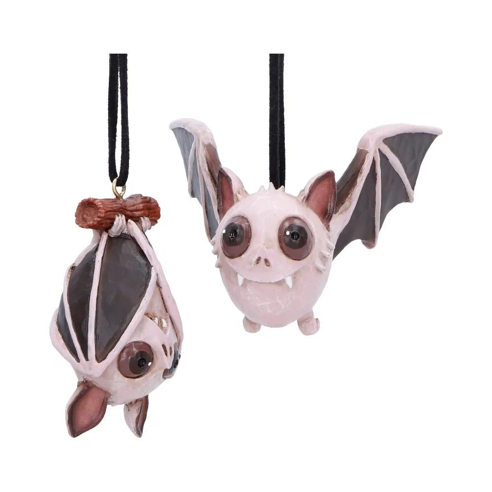 50681965