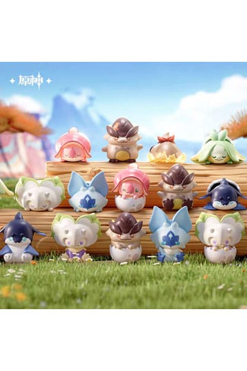 50707664