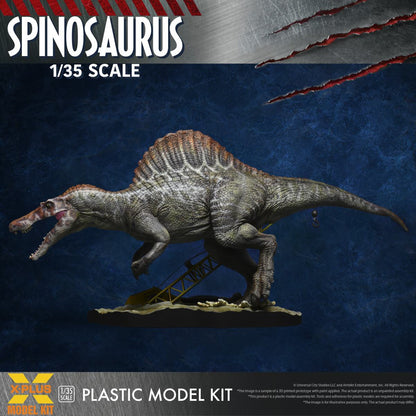 50765842