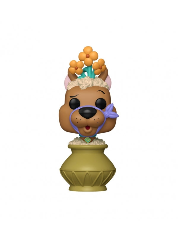 51323037